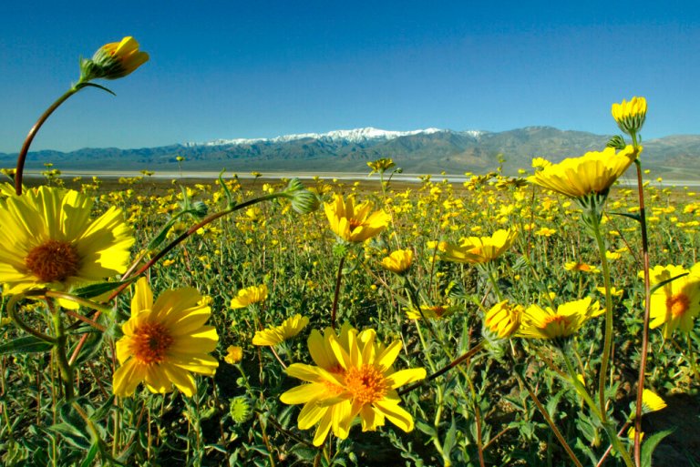 Our most extraordinary experiences for a one-of-a-kind Spring getaway