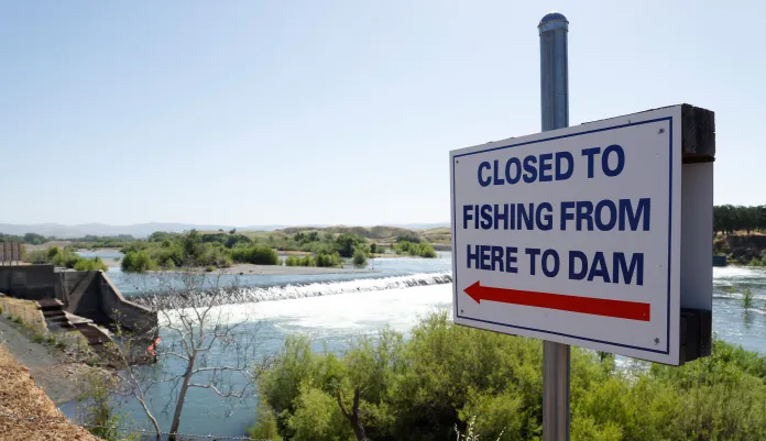 California splits the salmon