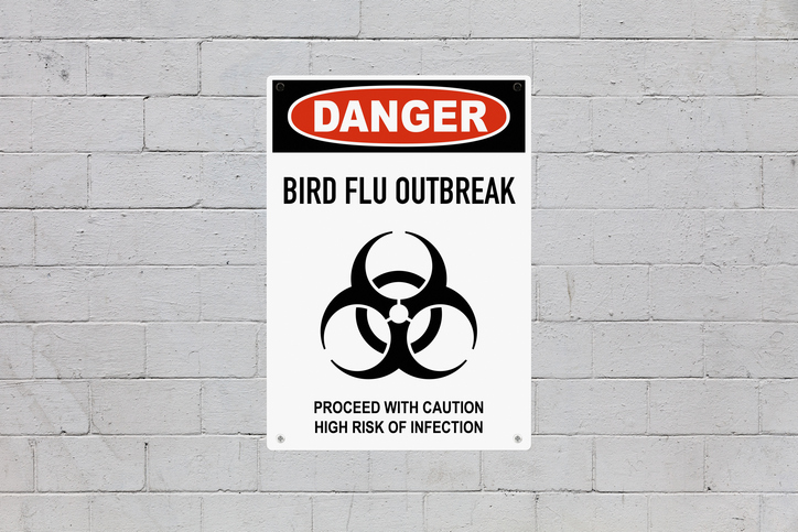 CDC confirms bird flu hospitalization in Louisiana from wildlife