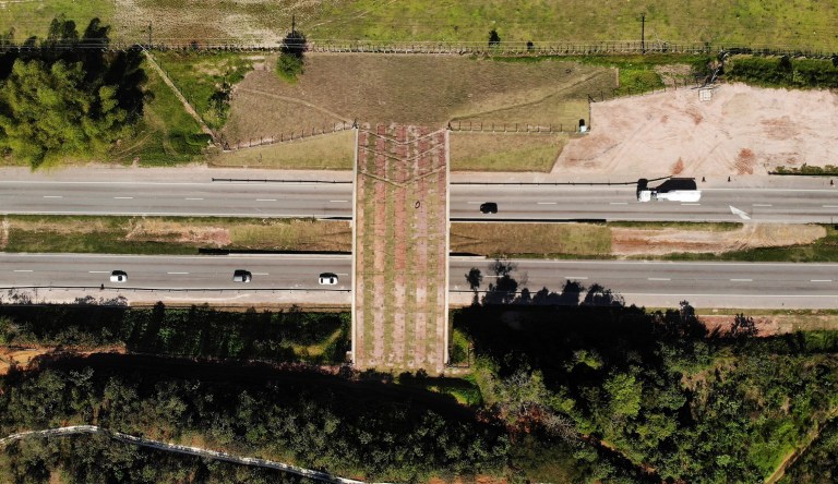 California Highway 101 will close overnight for construction for ‘world’s largest wildlife crossing’