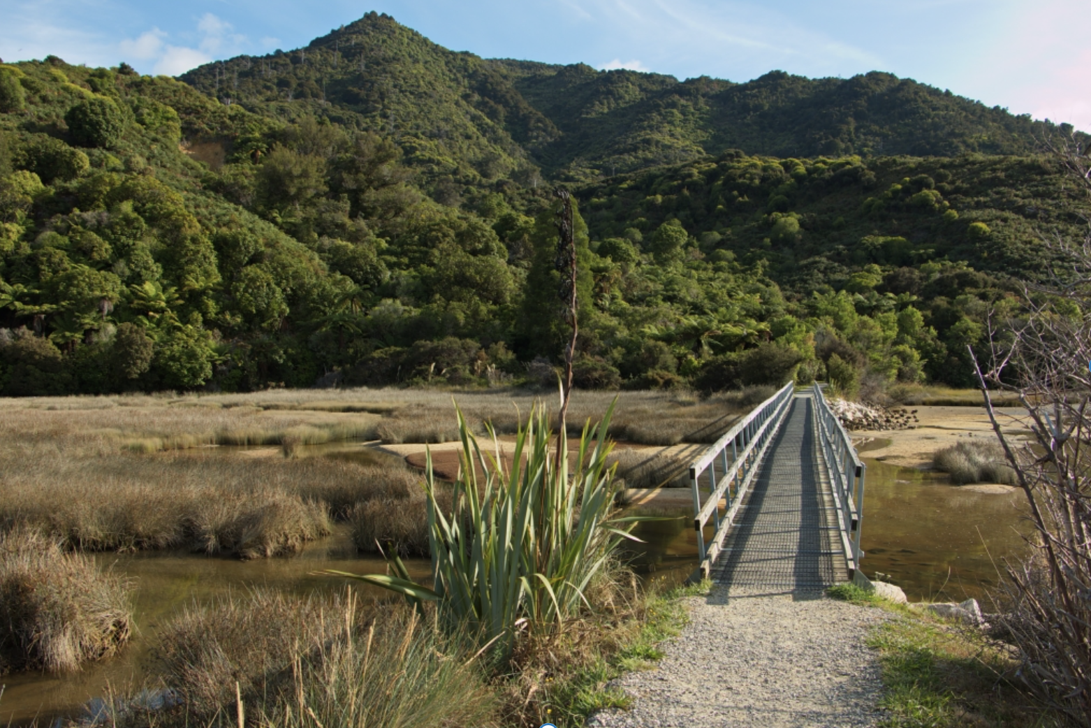 Why a New Zealand Getaway is the Thrill of a Lifetime