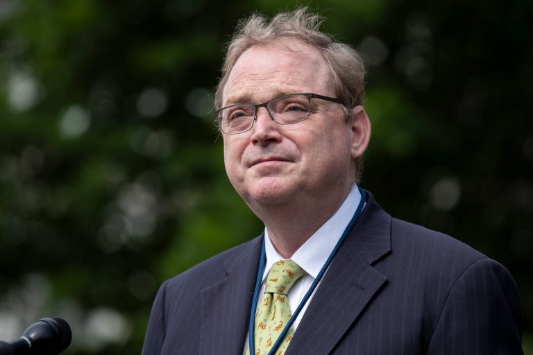 Director of the National Economic Council Kevin Hassett speaks with reporters at the White House, Friday, June 19, 2020, in Washington.