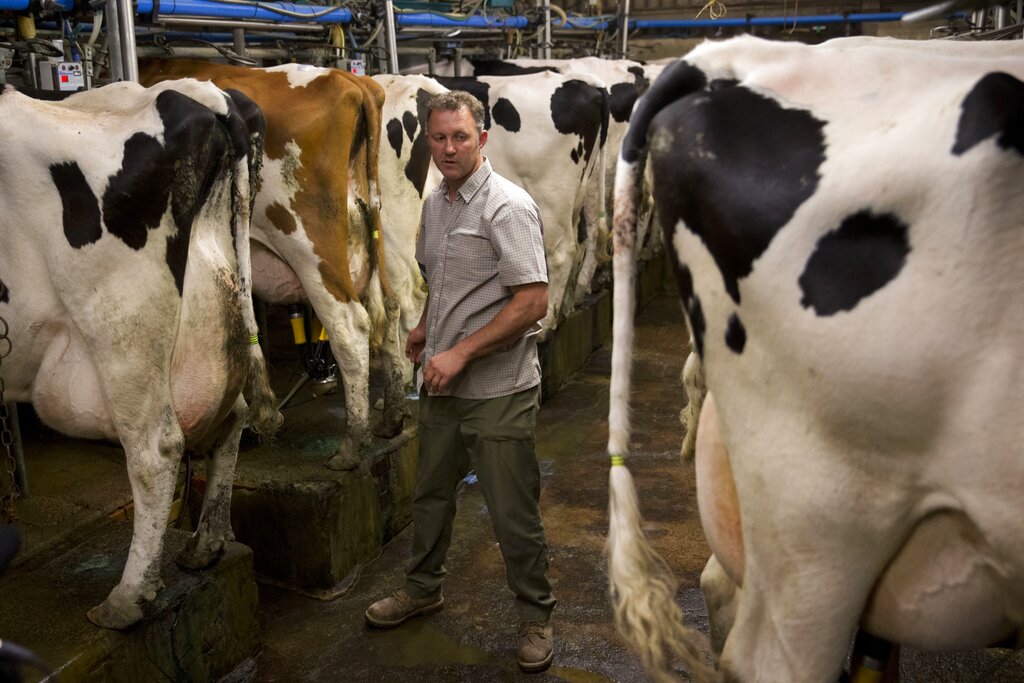 Raw milk contaminated with bird flu poses risk to humans: NIH study