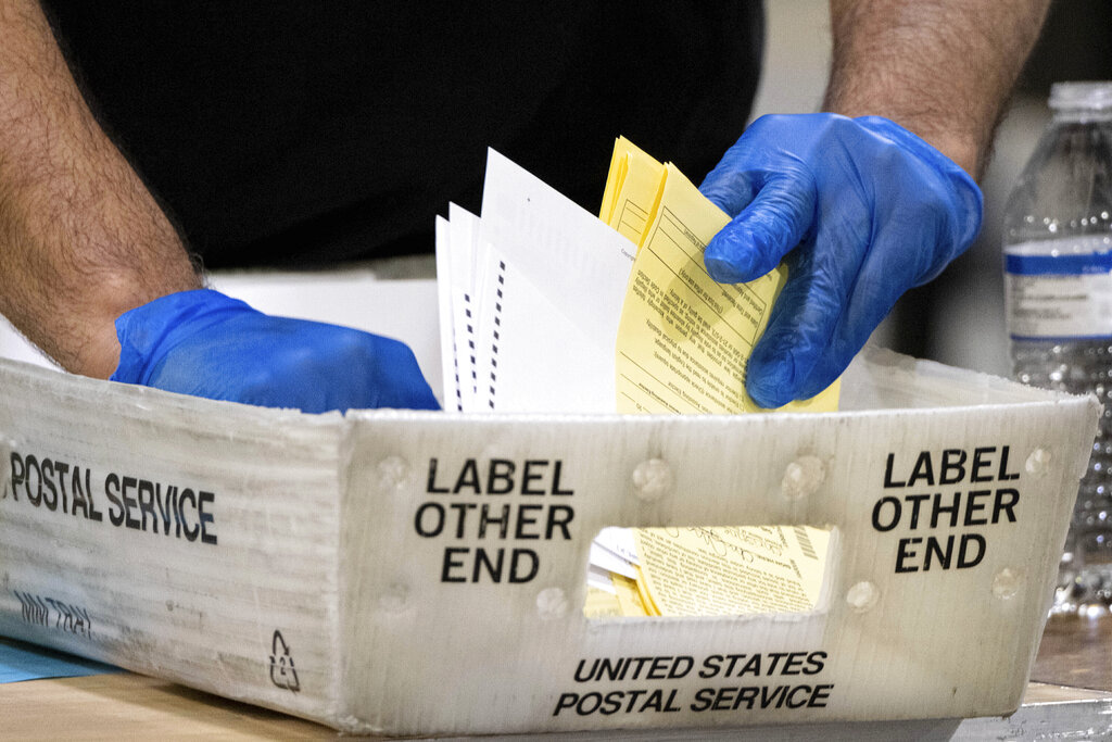 DNC sues Georgia election board over hand-count ballots rule