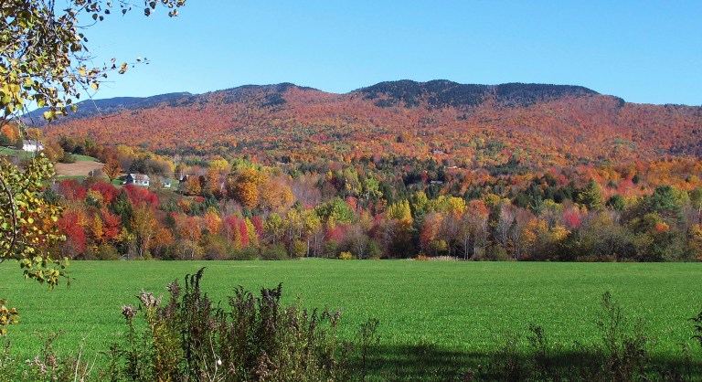 Students with disabilities get to work in state summer initiative