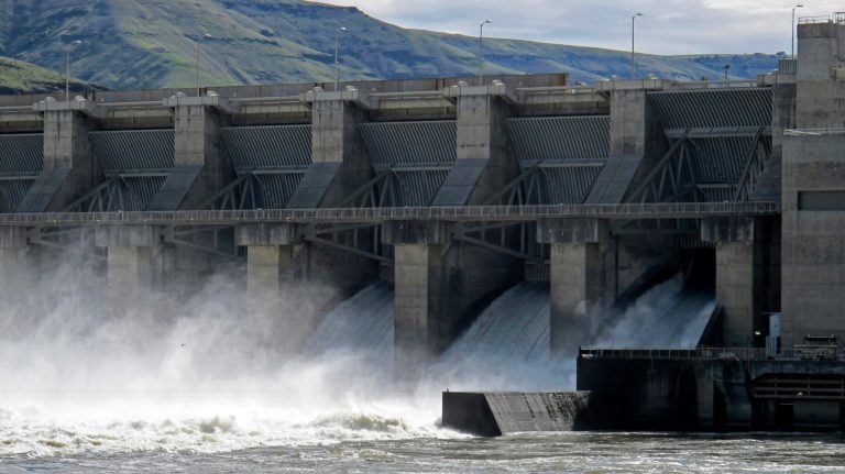 Washington congressman, others ramp up fight to save lower Snake River dams