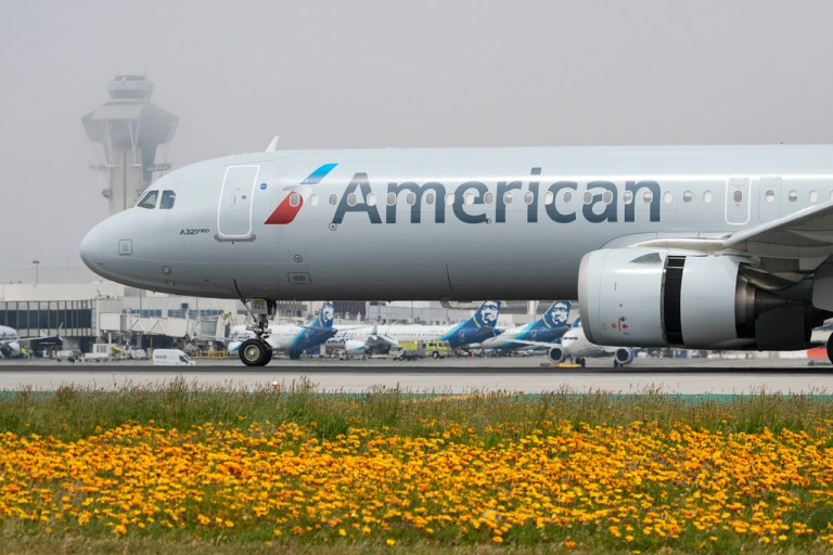 Flowers carpet the ground around the runways as an American Airlines jet taxis at the Los Angeles International Airport in Los Angeles Friday, April 12, 2024.
