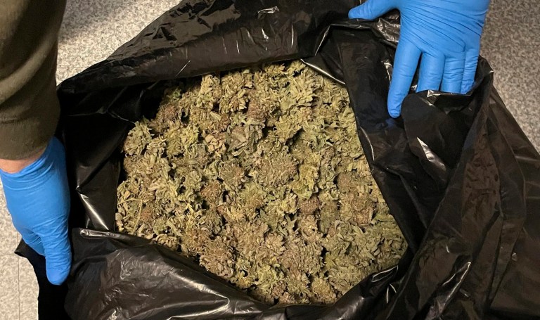 DEA leader Anne Milgram dodges questions on Biden plan to deschedule marijuana