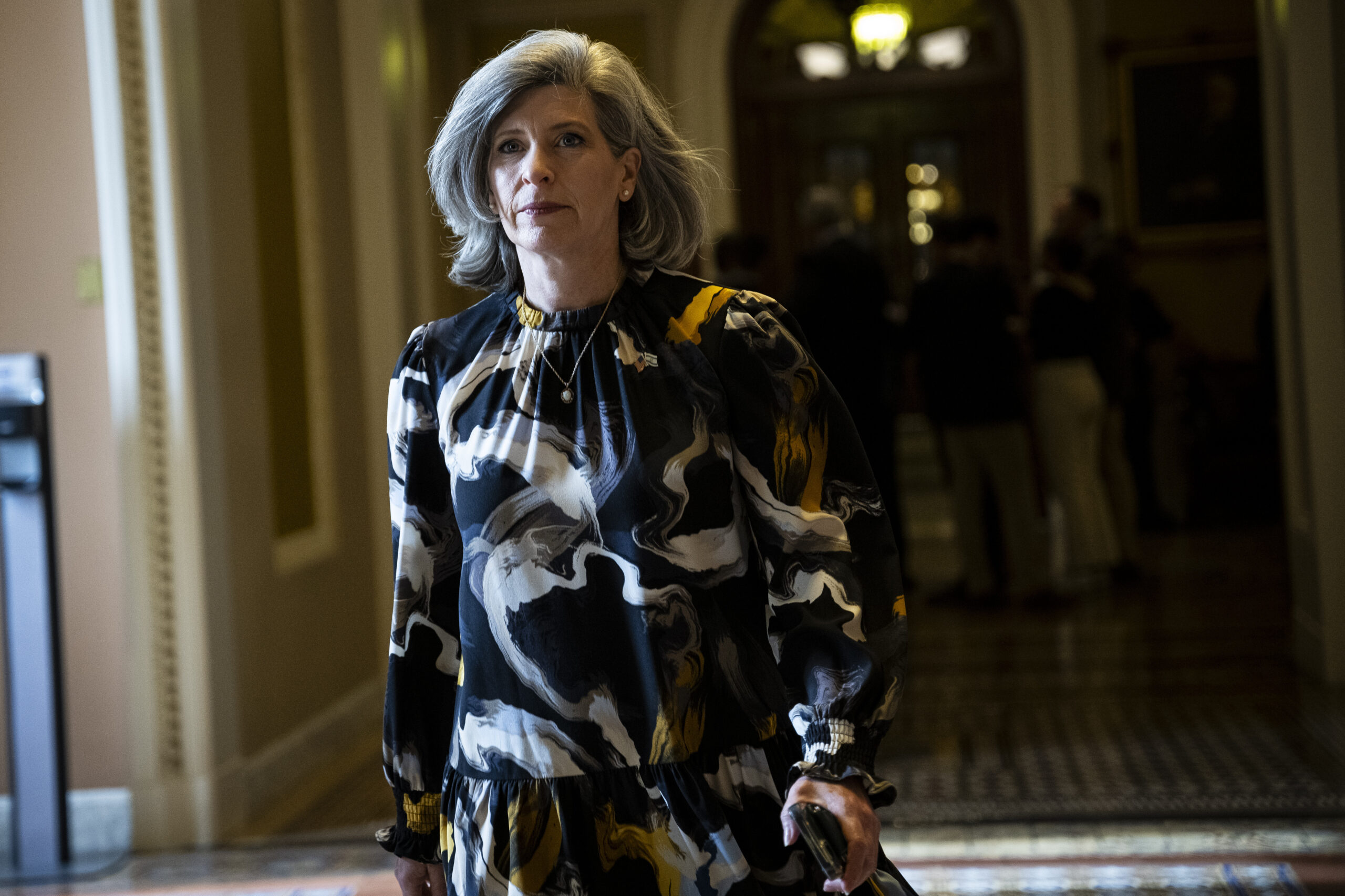 Ernst calls for stricter oversight of taxpayer funds for Ukraine small businesses
