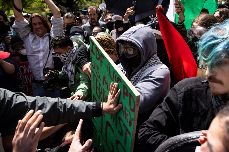 Democrats expecting massive show of force from protesters at DNC