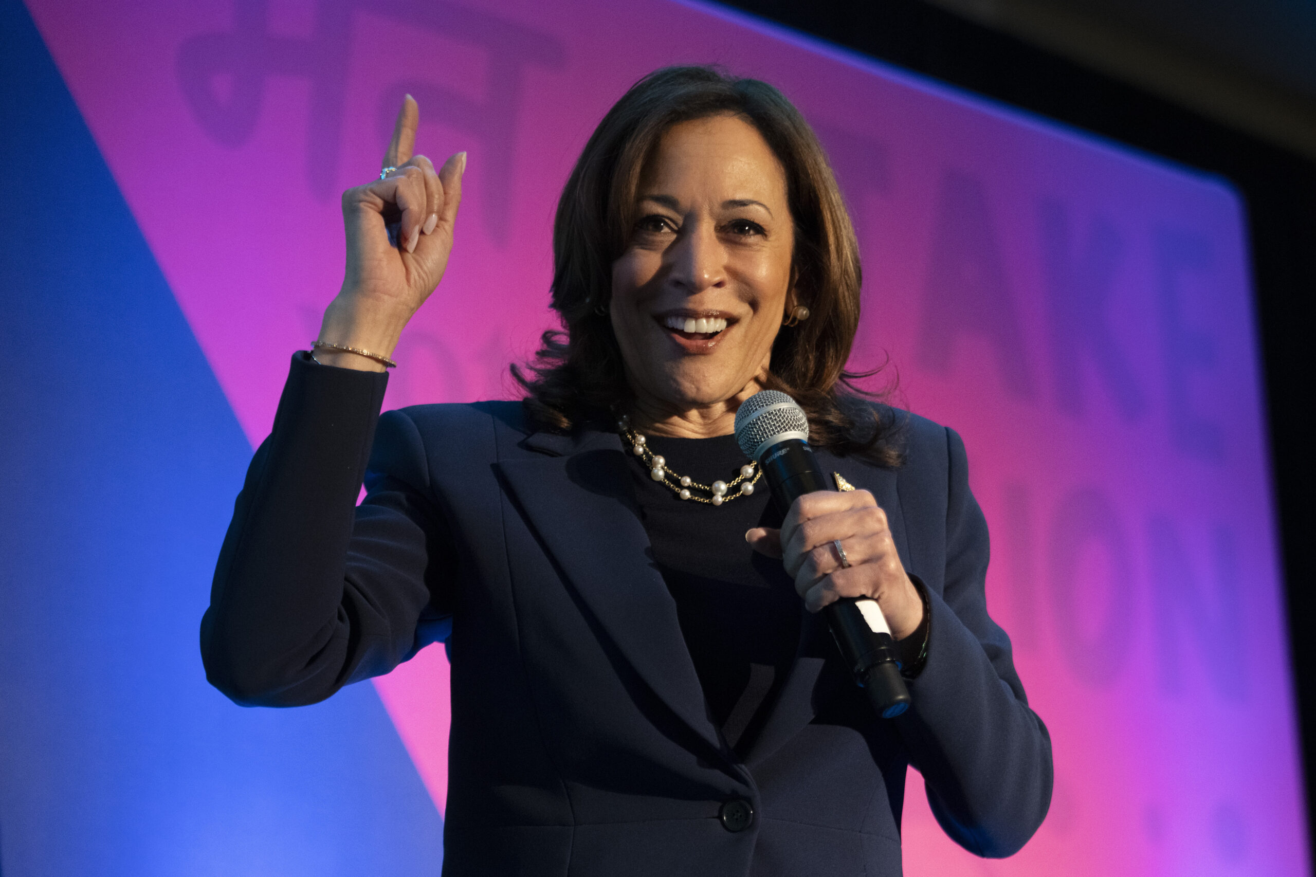 Kamala Harris beats out Democratic stars in swing-state support if Biden drops out: Poll