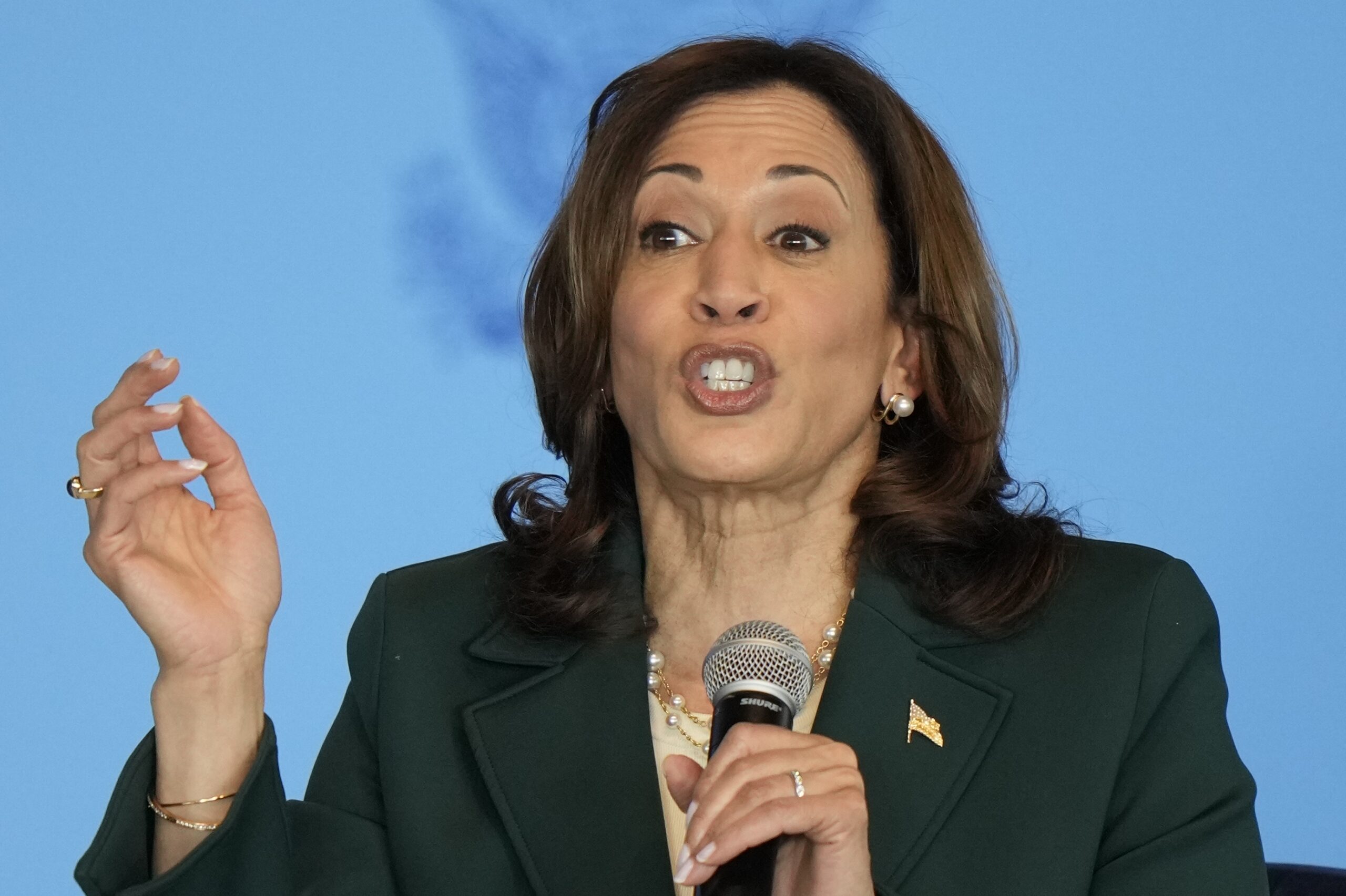 Democrats’ affirmative action politics haunt them, amid Biden’s decline