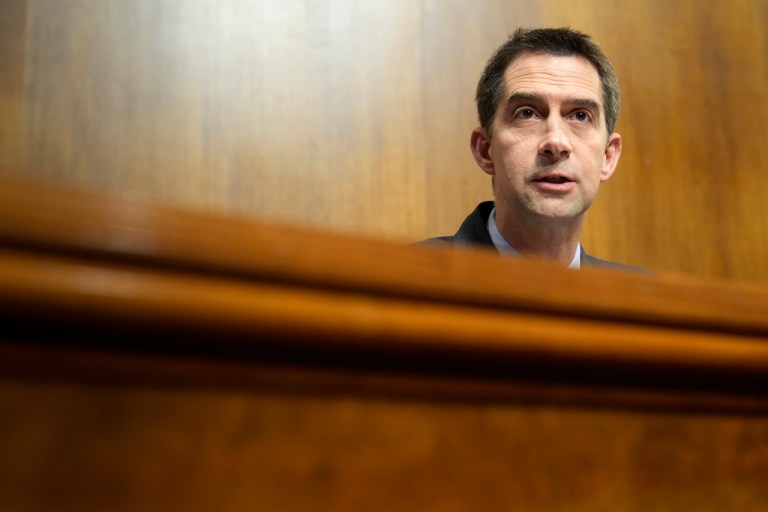 Tom Cotton defends Tulsi Gabbard against ‘smears’