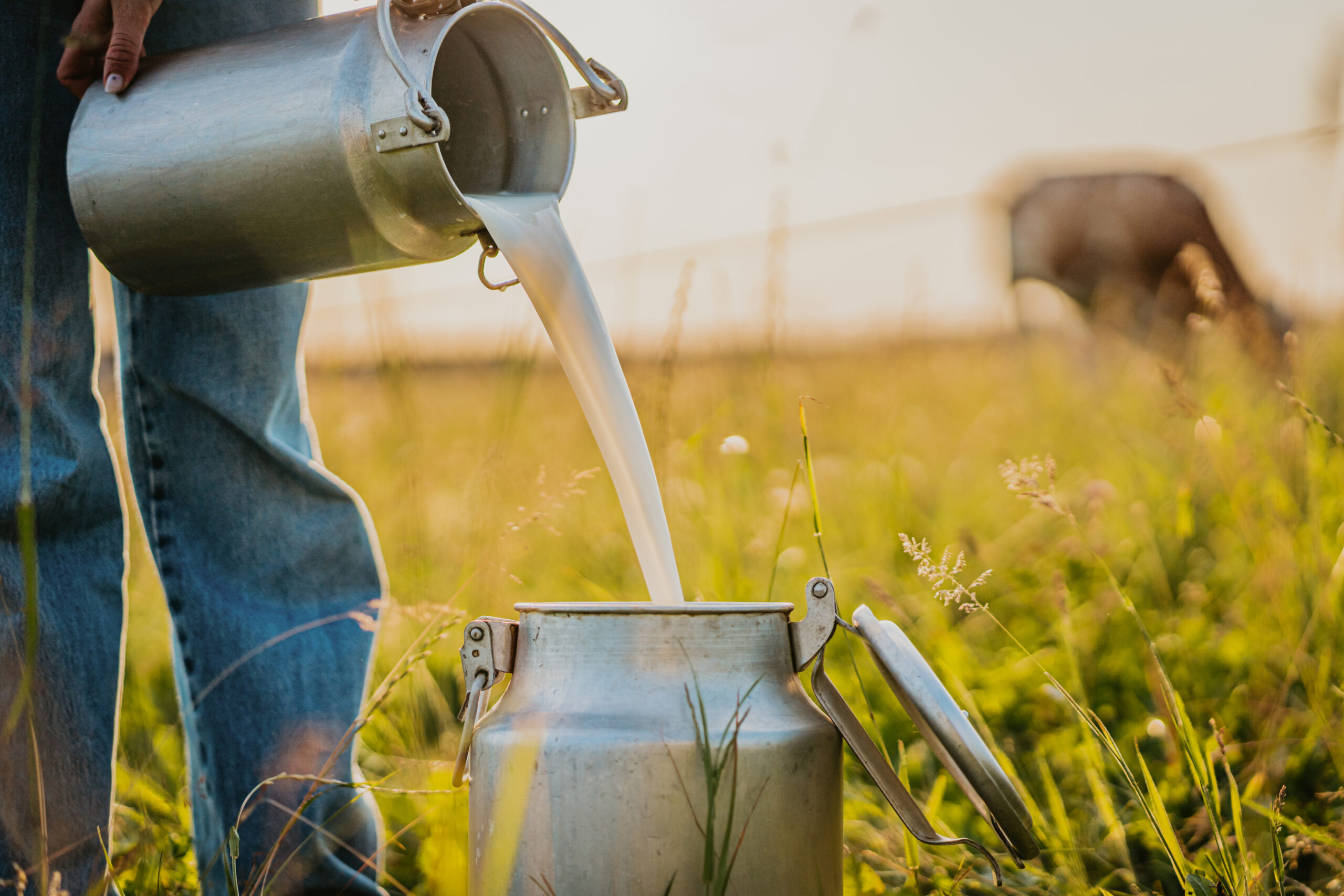 Farm Bill ignites debate on food stamp spending amid $30 billion cut