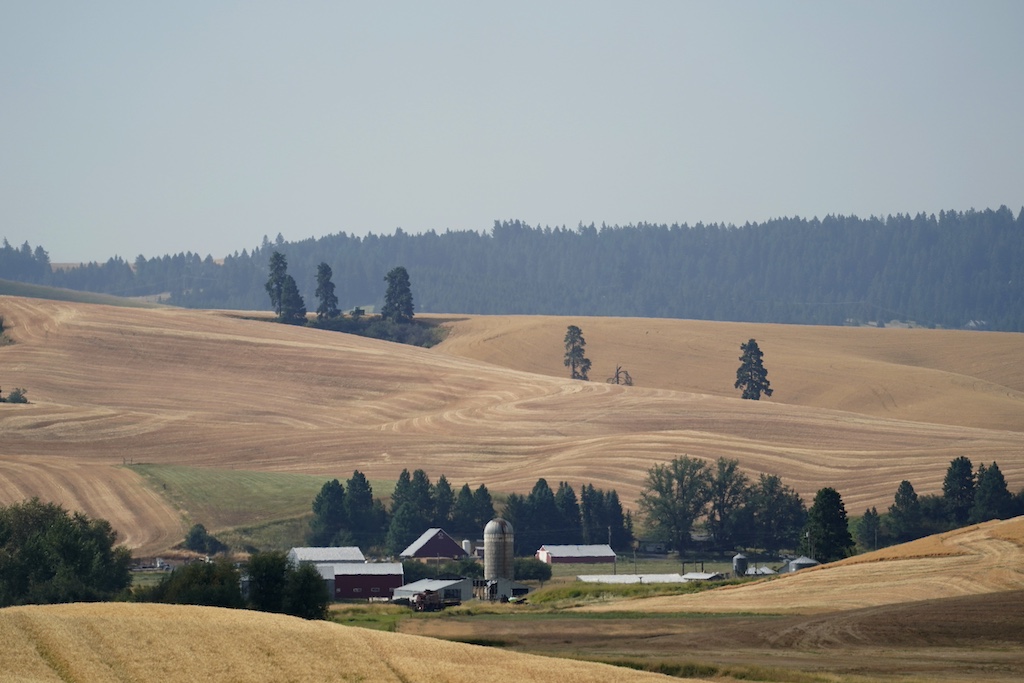 Battling for Water: Hierarchy in water rights fuels disputes among Southeastern Idaho’s farmers