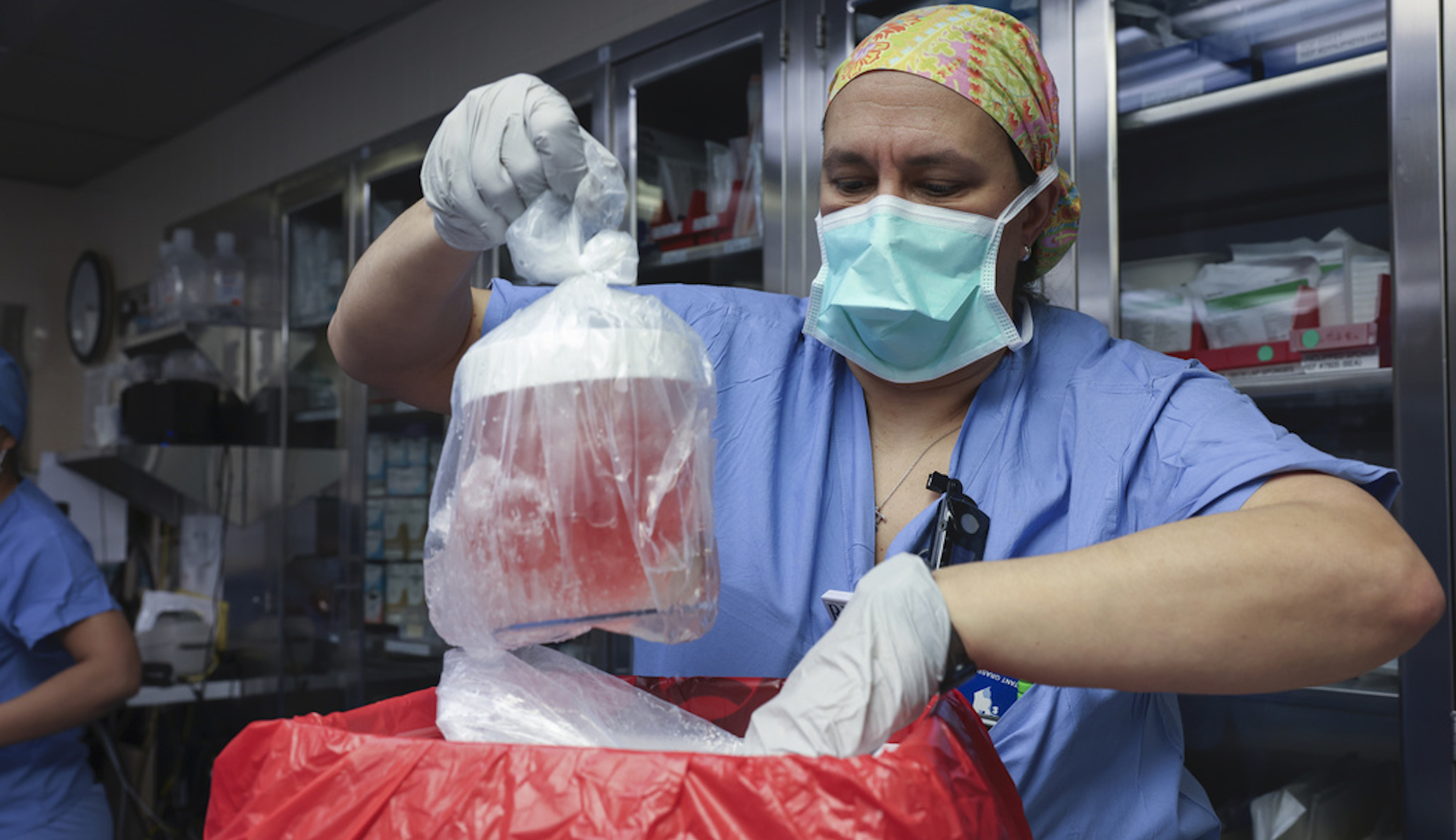 First pig kidney transplant patient dies nearly two months after procedure
