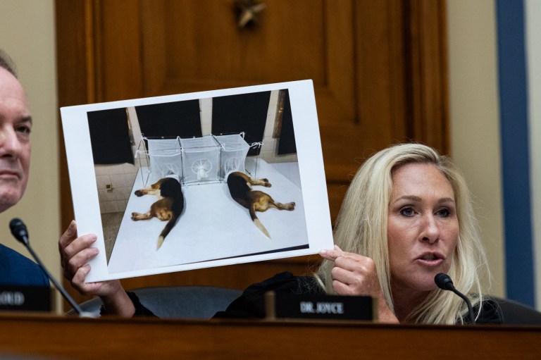 Uproar at Fauci hearing as Marjorie Taylor Greene refuses to call him ‘doctor’