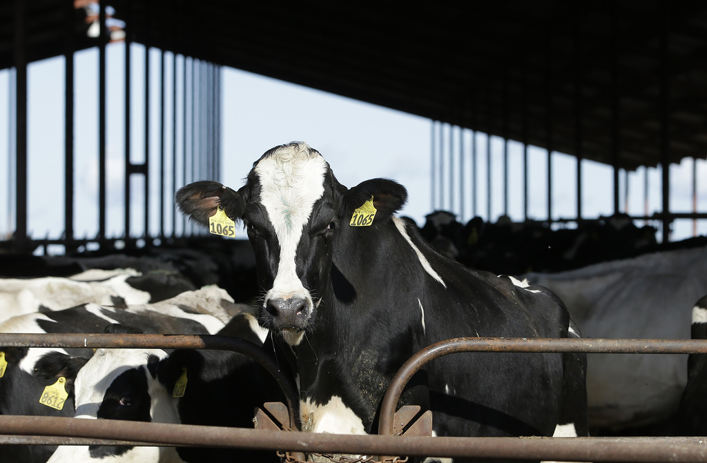 Key agency outlines plan for bird flu research in preparation for more human cases