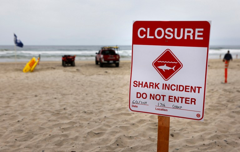 Shark attacks nationwide result in closed beaches
