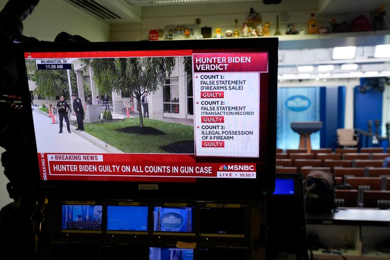 Gun industry hopes Biden verdict ends illegal purchases