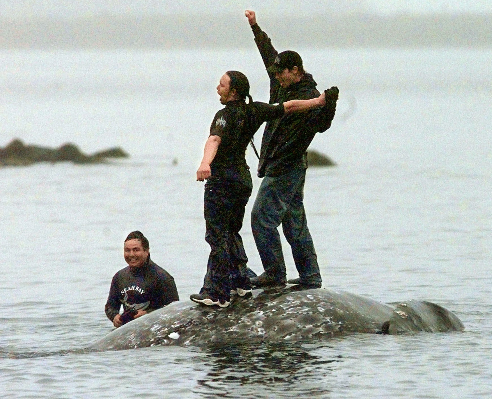 Whale hunting could expand in selected areas with Native American tribe’s latest victory