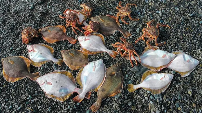 Jubilees shouldn’t mean jail time