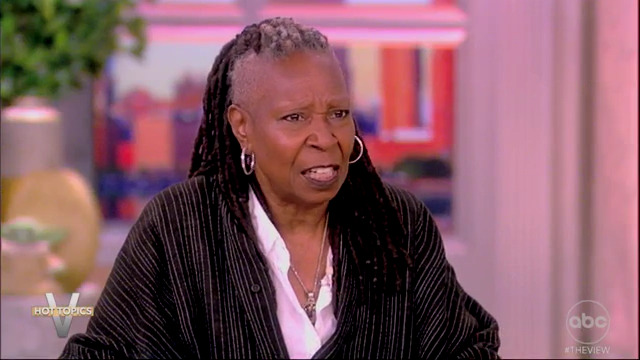 Whoopi Goldberg wonders whether the immigration system ‘feels like trafficking’