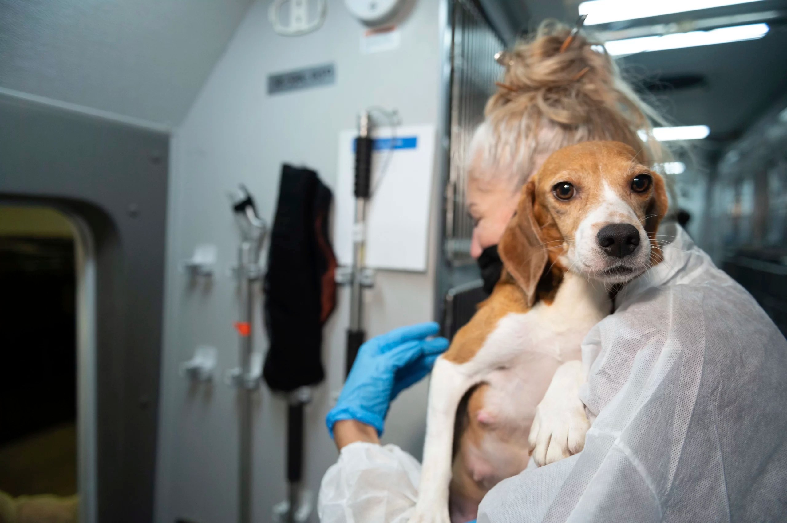 For the FDA, non-animal testing methods are the path forward
