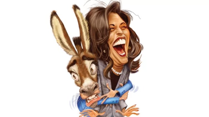 Democrats rush to Kamala Harris seeking unity above all else