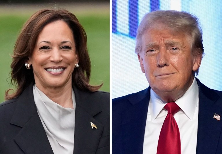 Trump’s nephew endorses Harris, would campaign with her ‘without hesitation’