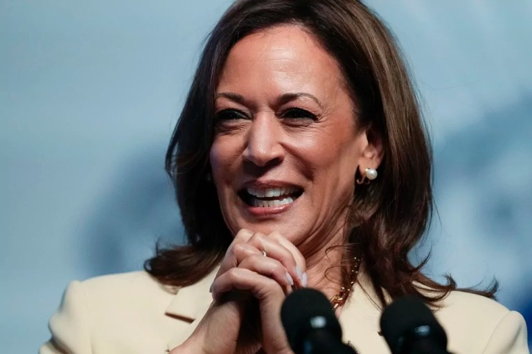 Media outlets backtrack on ‘border czar’ title after Harris assumes Biden’s mantle