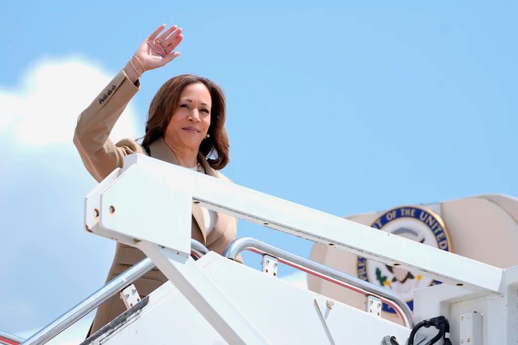 ‘White Dudes for Harris’ Zoom fundraiser aims to shore up support among Democrats’ weakest demographic