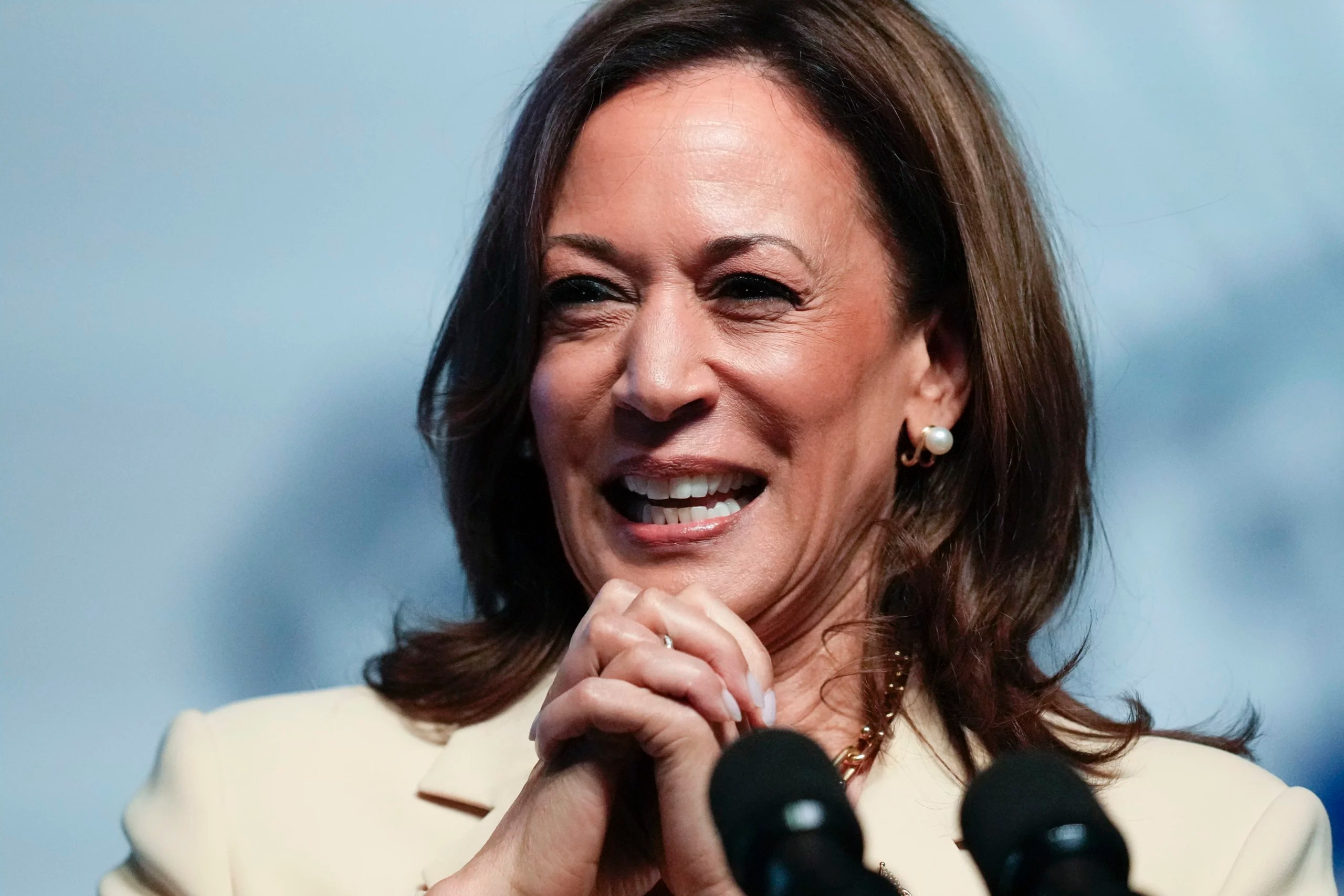 Top Harris aide backed ‘defund police’ and court-packing