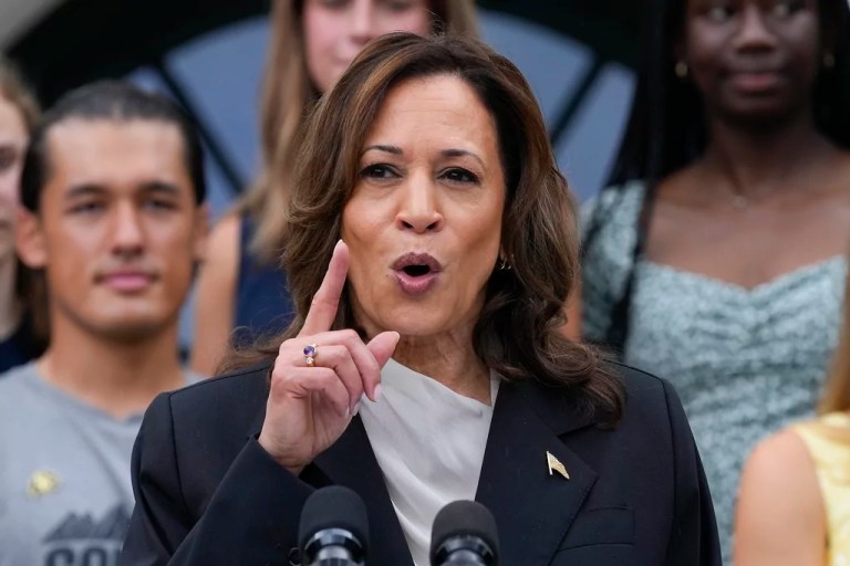 Democratic challenges to Harris are DEI’d on arrival