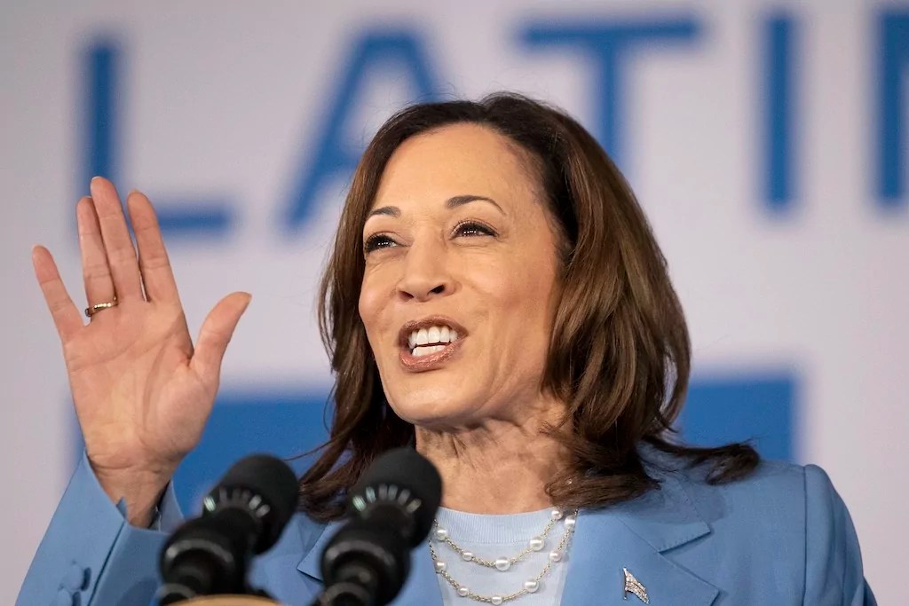 Harris presumed favorite to replace Biden, but other names wait in the wings
