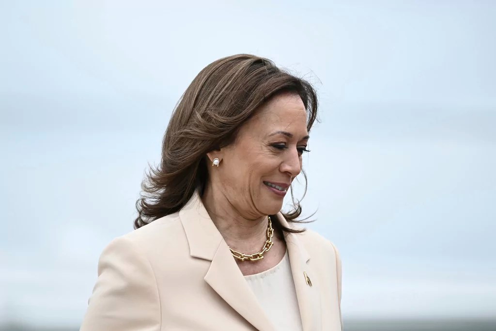 Wisconsin swing voters express concern over Harris’s intelligence and hiding Biden’s cognitive decline