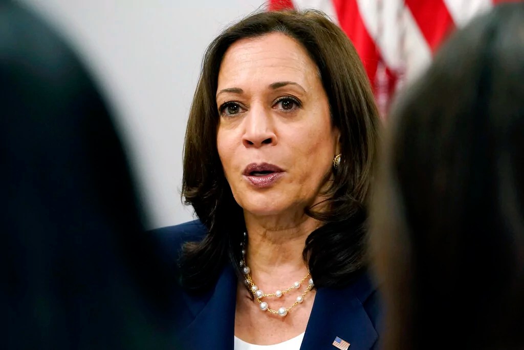 ‘I think everybody will get there’: WA Dem chair on delegates endorsing Harris for prez