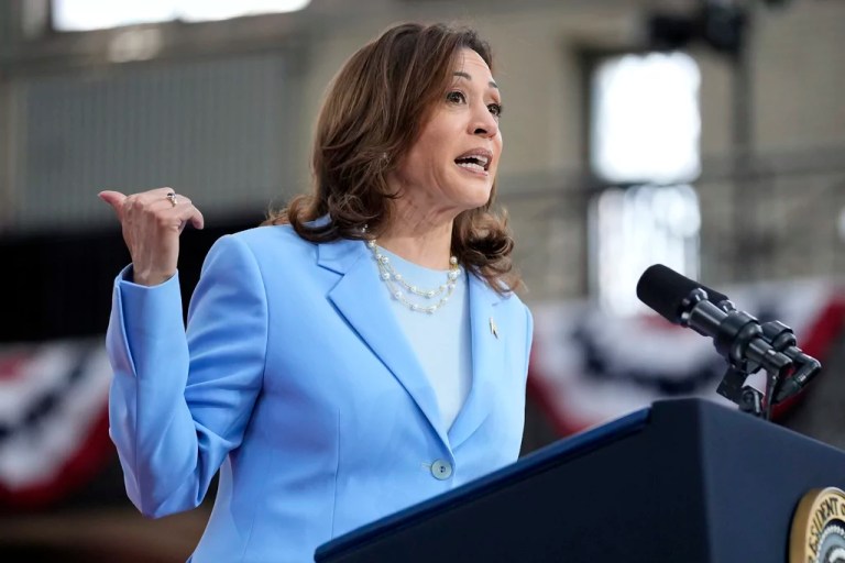 Kamala’s resegregated America