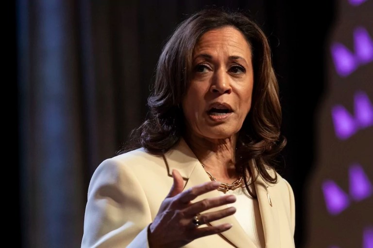 Democratic donor blasts Kamala Harris as worse than ‘dead’ or ‘comatose’ Biden: Report