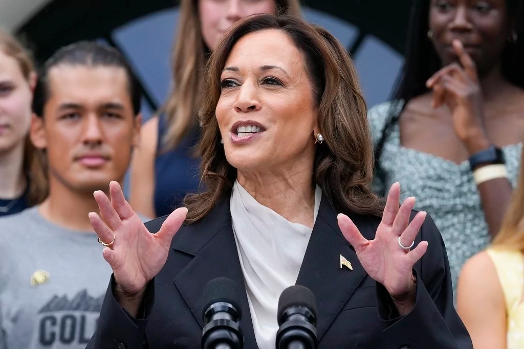 Biden gone, Democrats rally around worst possible candidate
