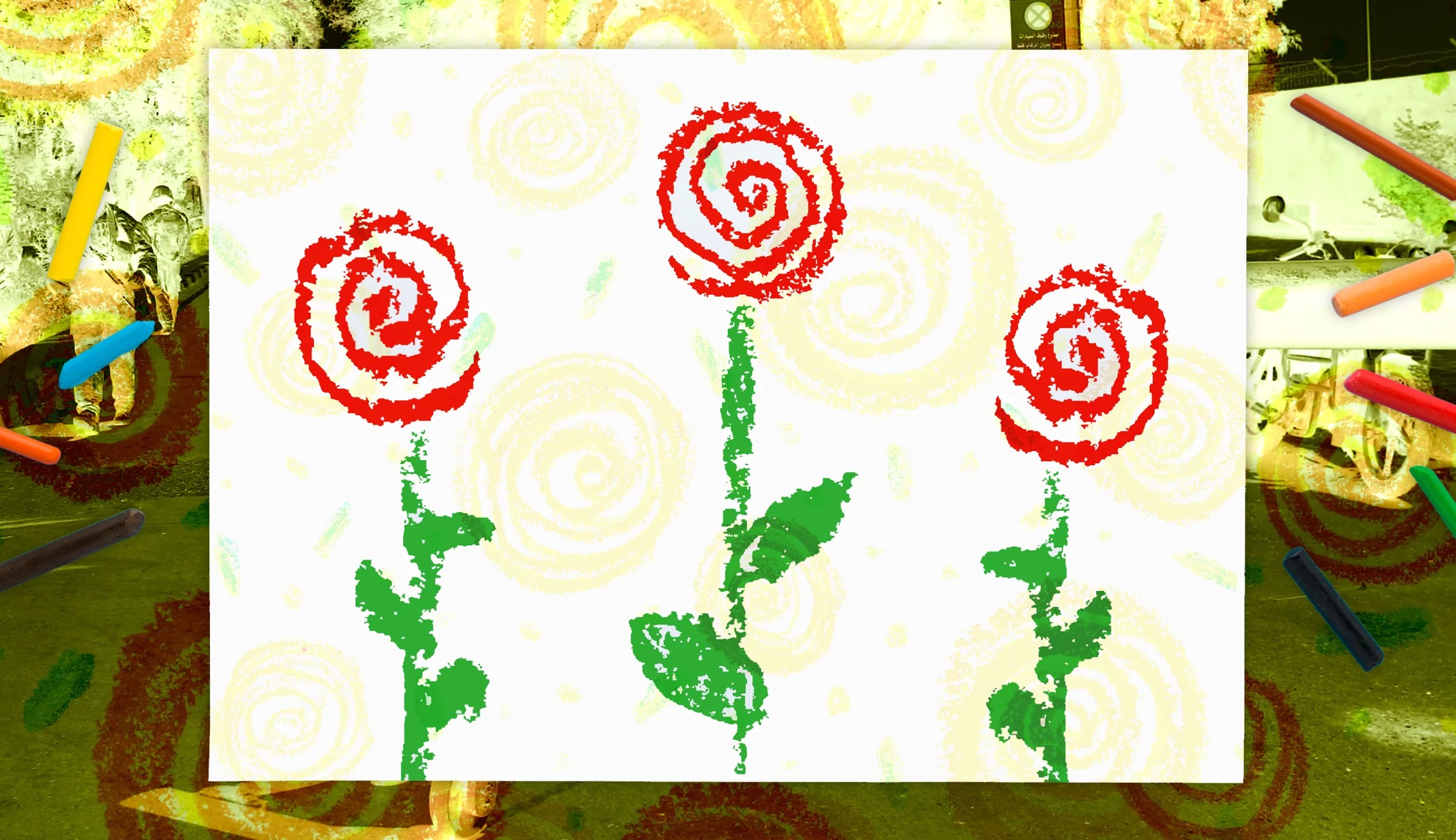 Iraqi rose