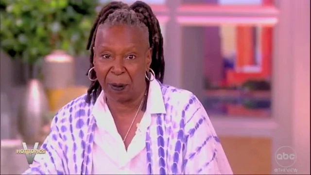 The View takes offense at Vance’s ‘childless cat ladies’ comment: ‘How dare you?’