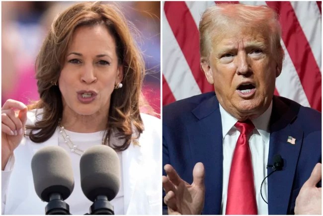 Trump and Harris tied in head-to-head matchup in Michigan: Poll