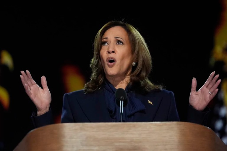 Harris seeks to mend the Democratic divide at DNC, but cracks persist