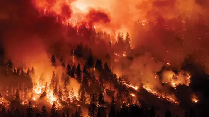 Risky business: Personal insurance could be a sleeper issue in the election