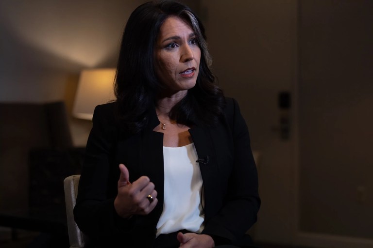 Biden-Harris prioritize illegal immigrants over disaster preparedness: Tulsi Gabbard