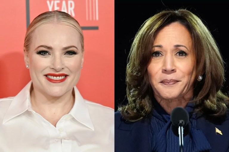 Meghan McCain says Democrats ‘want to reinvent history’ about her father
