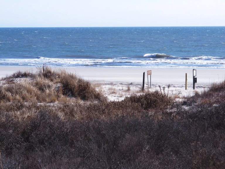 Opponents to New Jersey offshore wind project raise concerns of impact on protected wetland