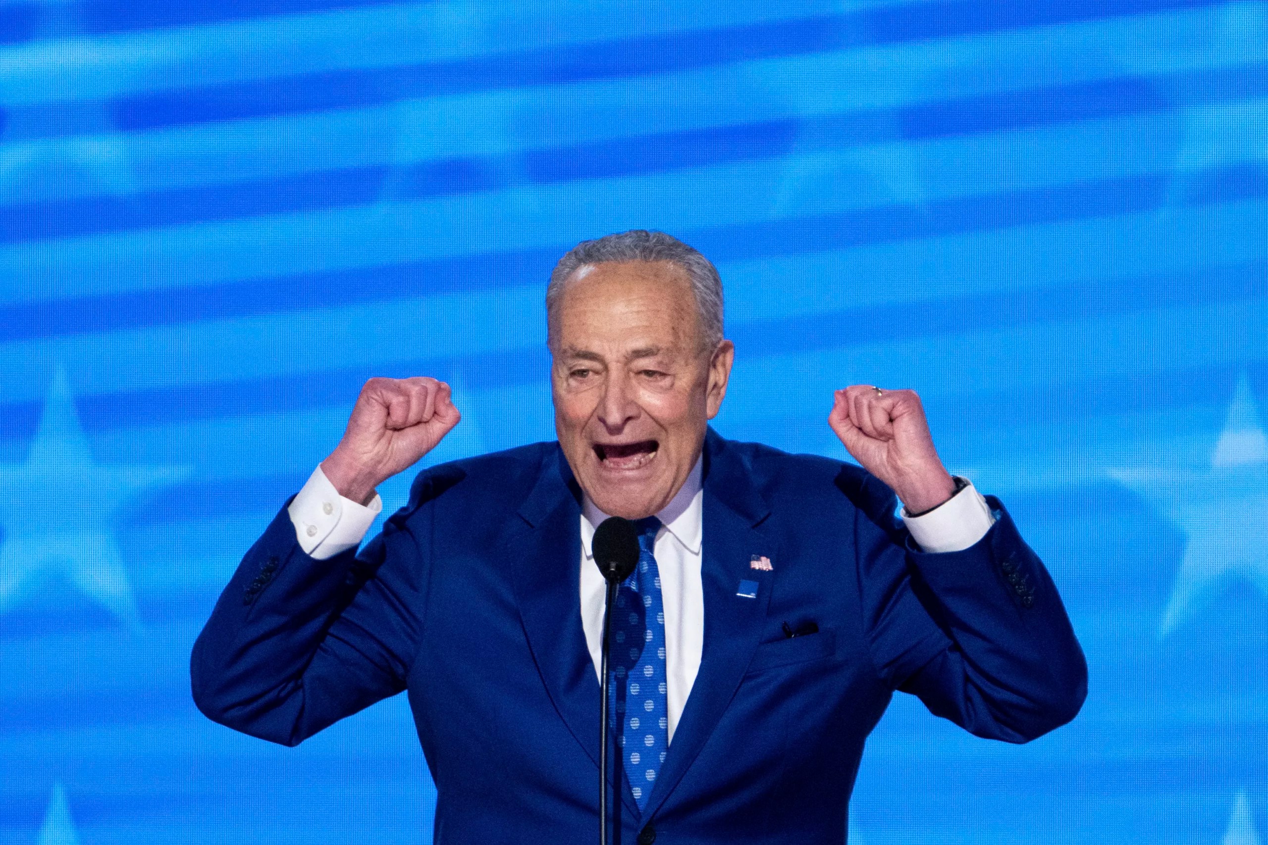 Schumer unloads on Trump after Constitution comments: ‘Un-American’