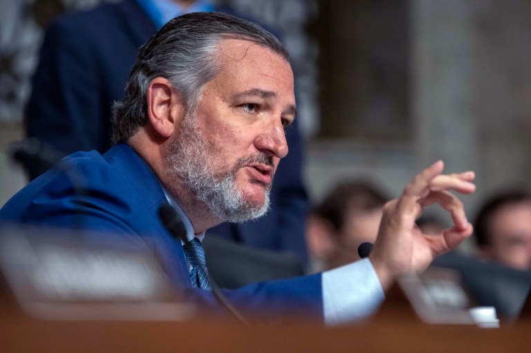 Sen. Ted Cruz (R-TX) questions Secret Service Acting Director Ronald Rowe and Federal Bureau of Investigation Deputy Director Paul Abbate, during a Senate Committee on Homeland Security and Governmental Affairs Senate Judiciary hearing examining the security failures leading to the assassination attempt on President Donald Trump, Tuesday, July 30, 2024 in Washington.